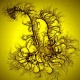 Avatar gebruiker