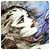 Avatar gebruiker